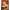 AARON BOHROD, Untitled (Nude on Bench) | lamodern.com